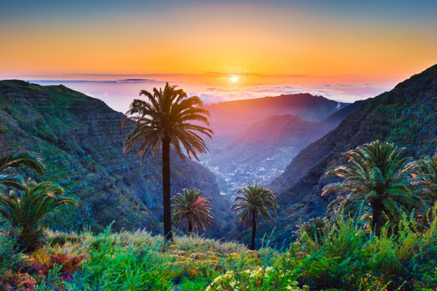Apus de soare peste valea cu palmieri din Tenerife